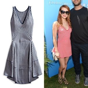 Navy Jonathan Simkhai Radial Gingham Dress